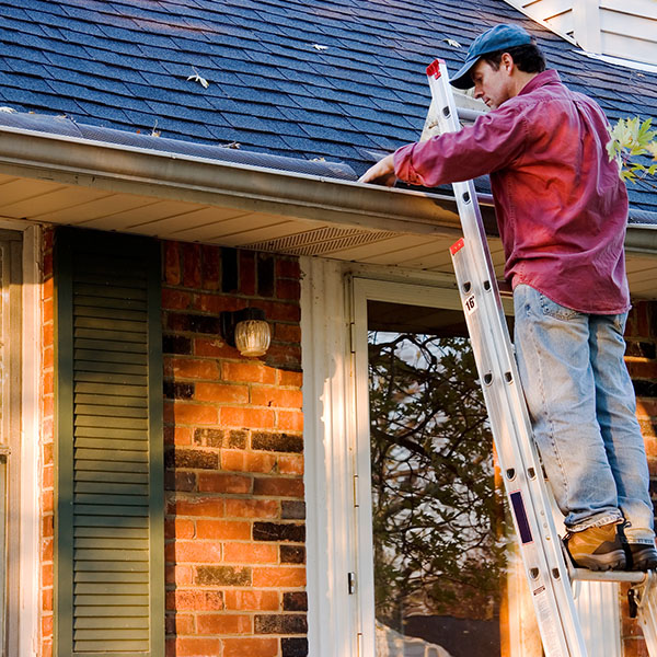 professional standing on ladder cleaning gutter of home