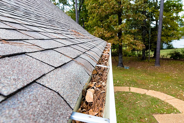 up close view of dirty gutter on home