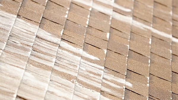 roof with soap