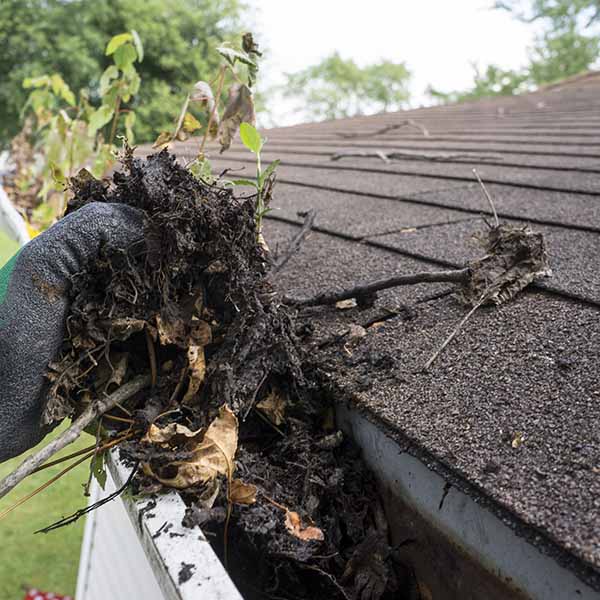 Professional Gutter Cleaning